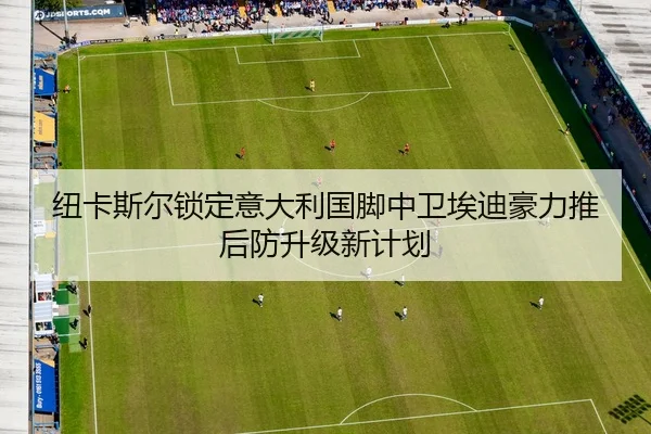纽卡斯尔锁定意大利国脚中卫埃迪豪力推后防升级新计划